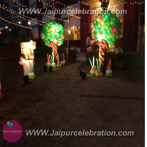 Bird birthday decoration in Jaipur